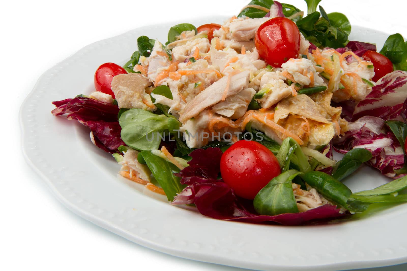 fresh salad with grilled chicken