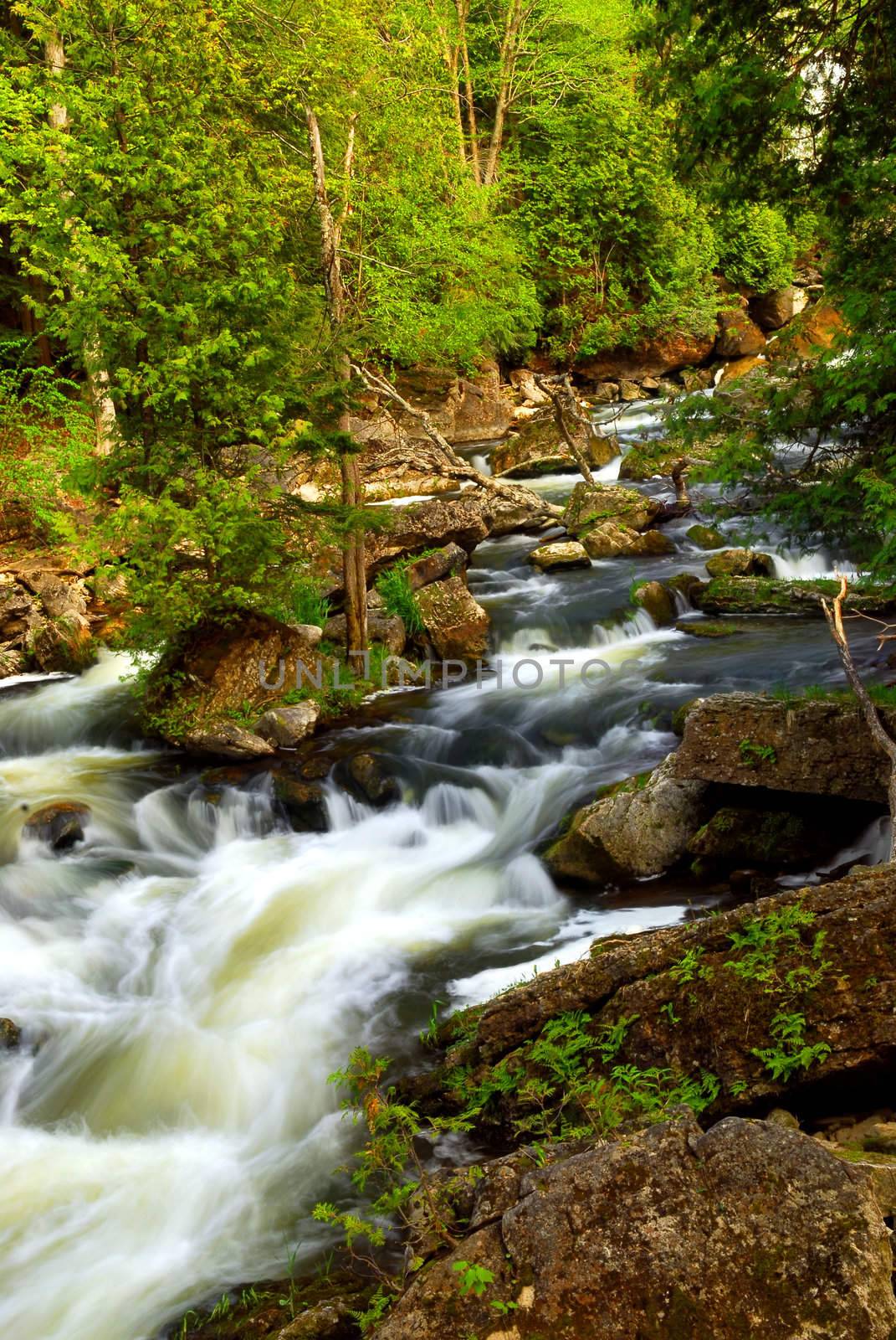 Water rushing among rocks in river rapids in Ontario Canada