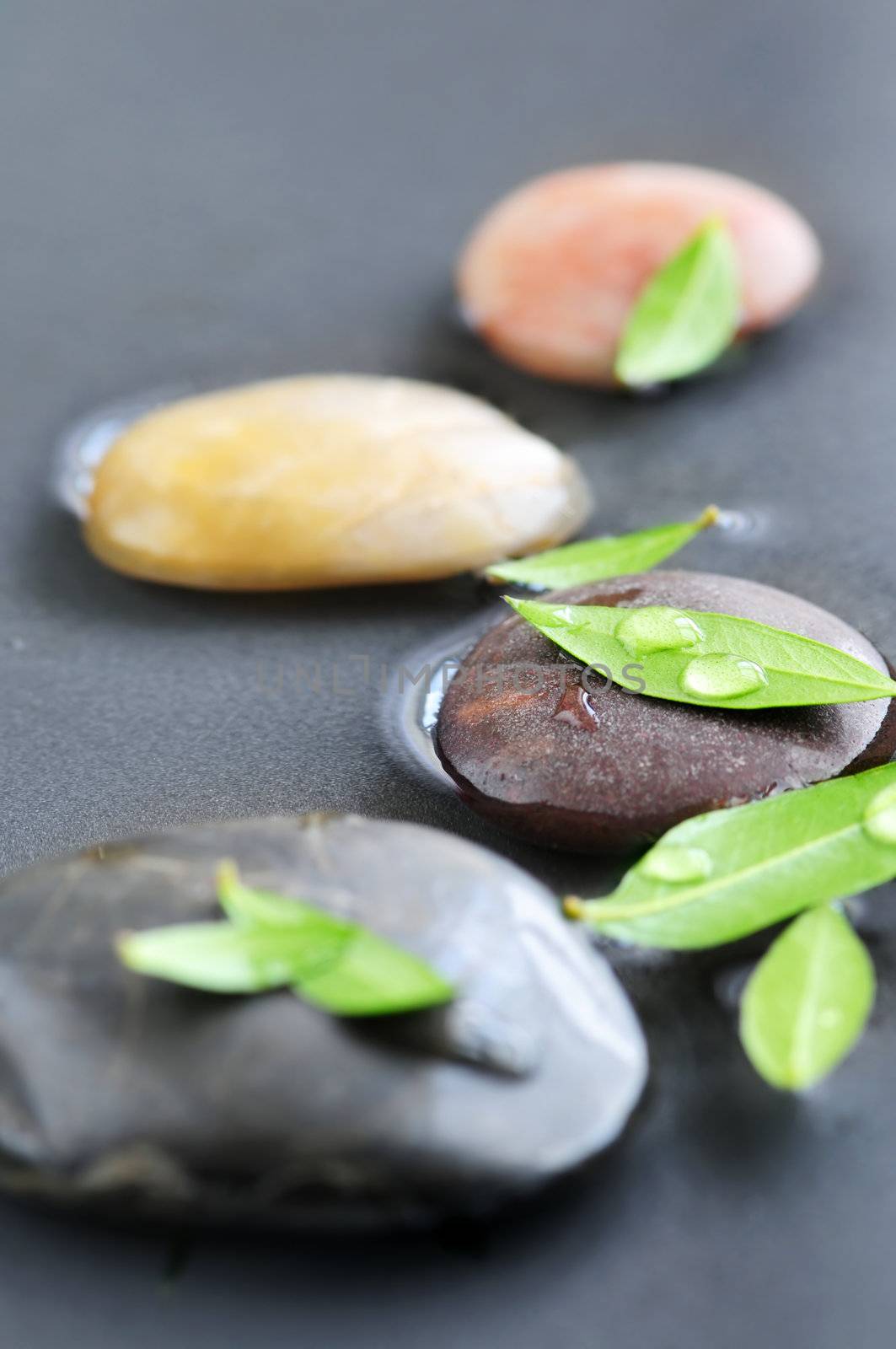 Zen stones submerged in water with green leaves