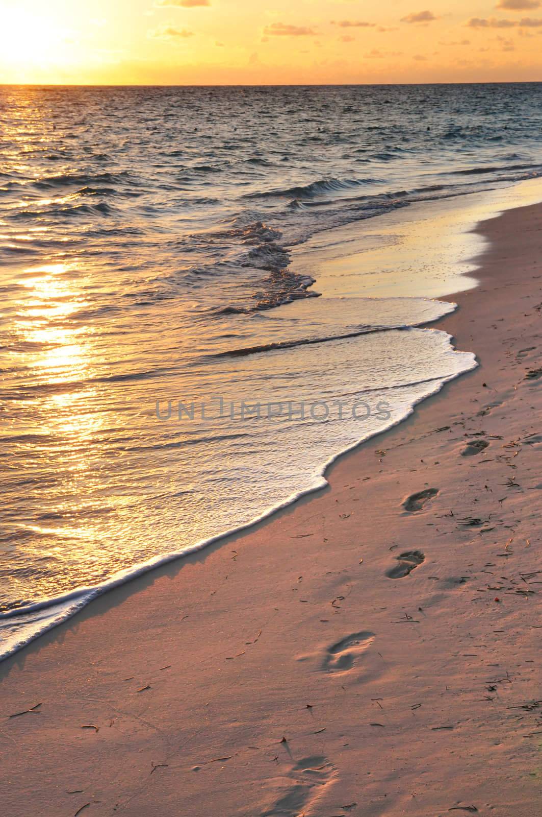 Footprints on sandy beach at sunrise by elenathewise