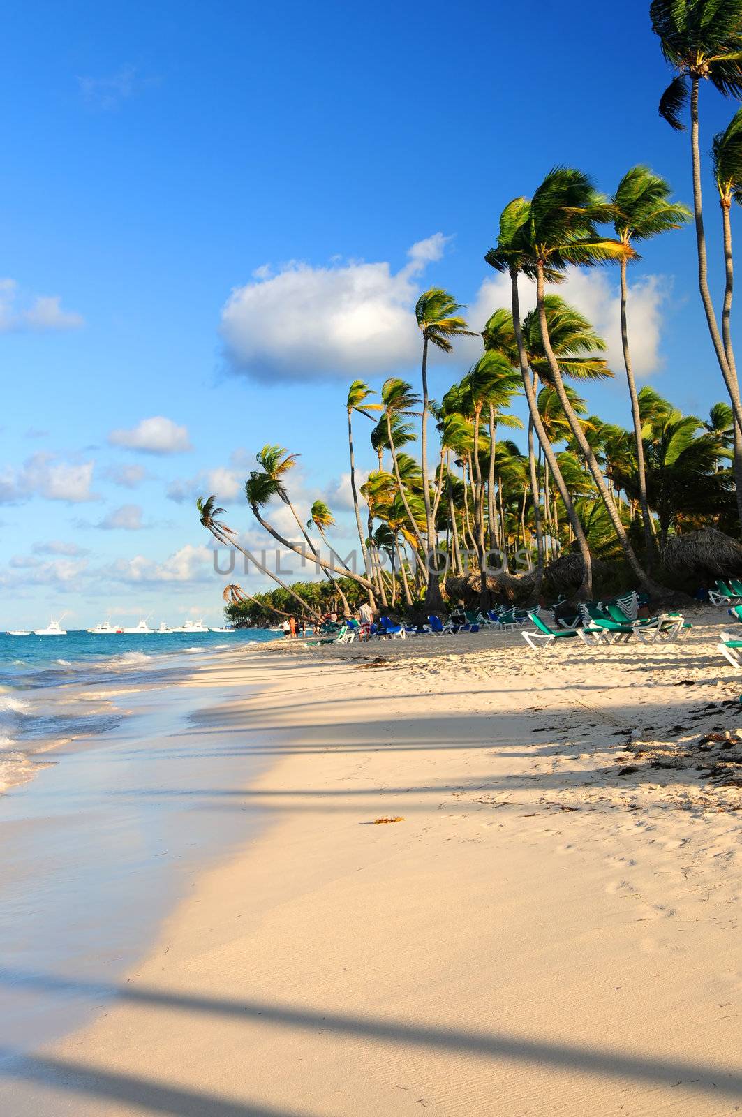 Tropical sandy beach with palm trees and fishing boats