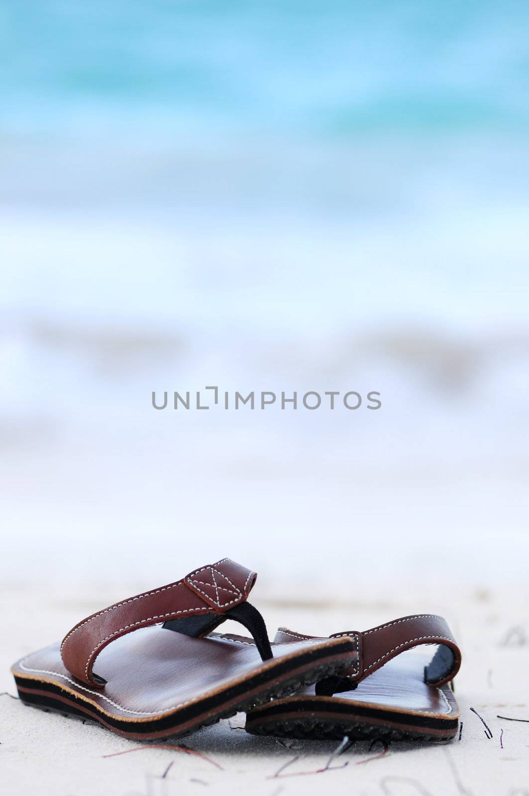 Flipflops on a sandy beach by elenathewise