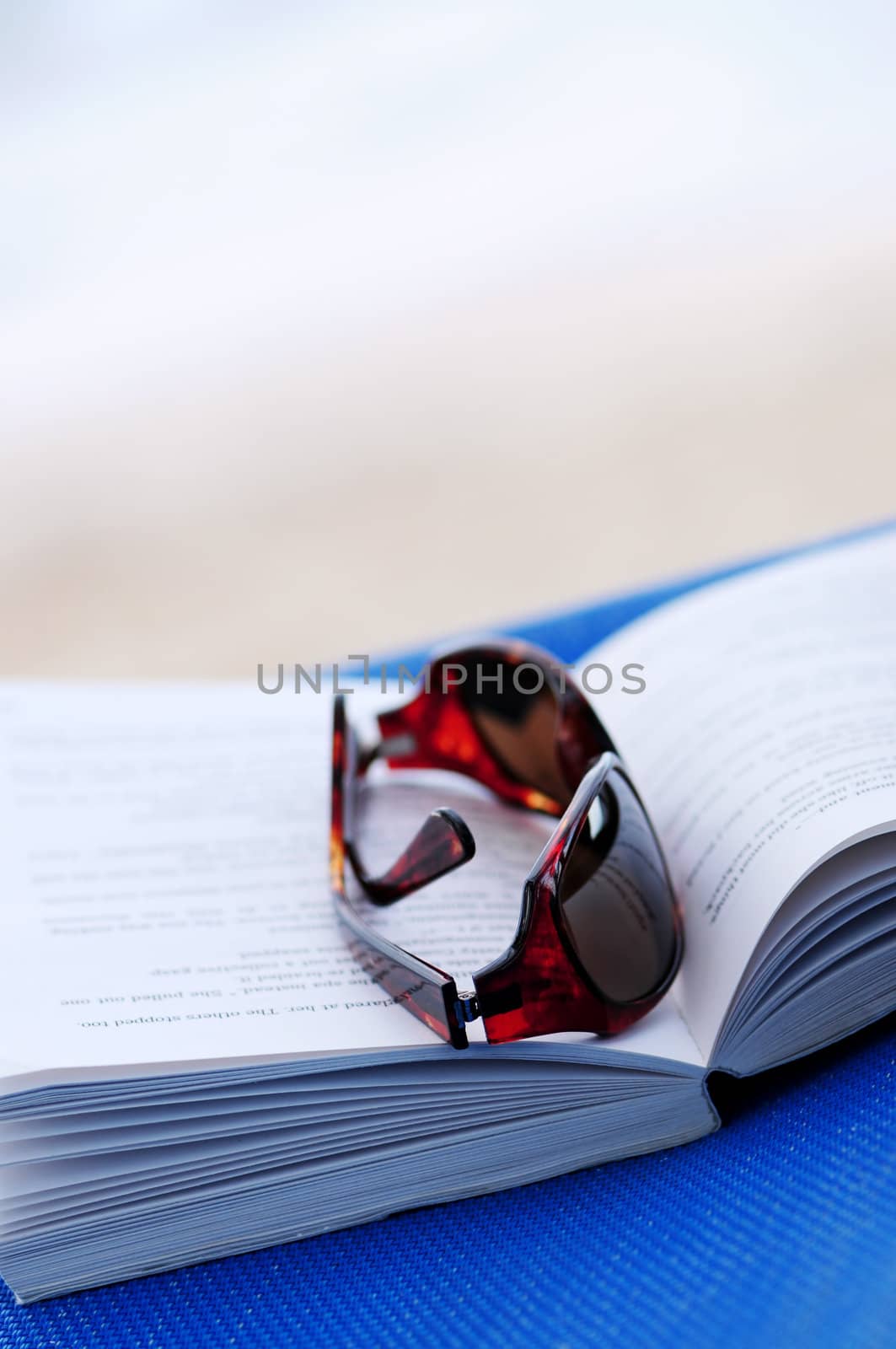 Sunglasses and book on beach chair  by elenathewise