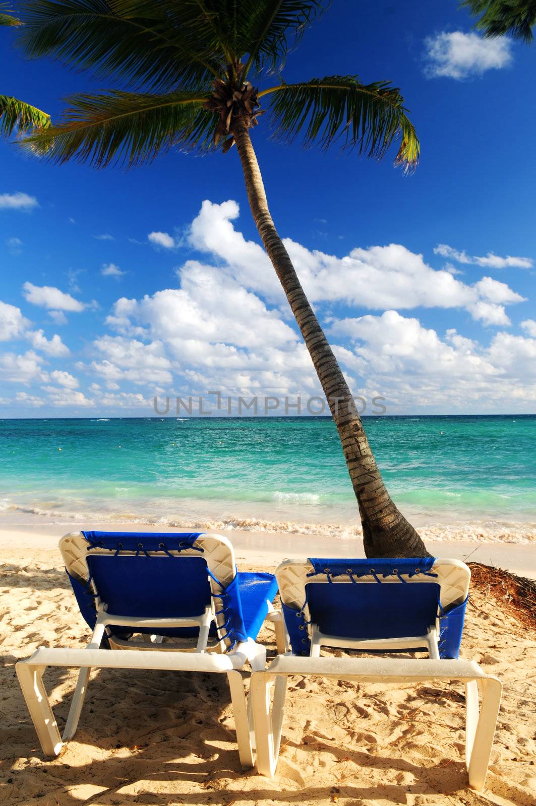 Sandy beach of tropical resort with palm trees and two reclining chairs