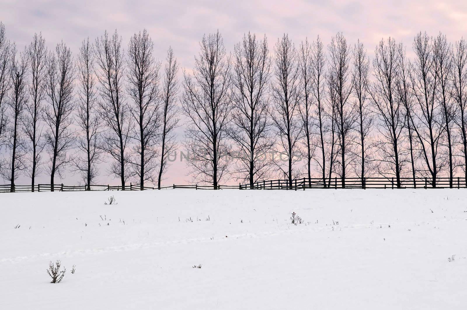 Rural winter landscape by elenathewise