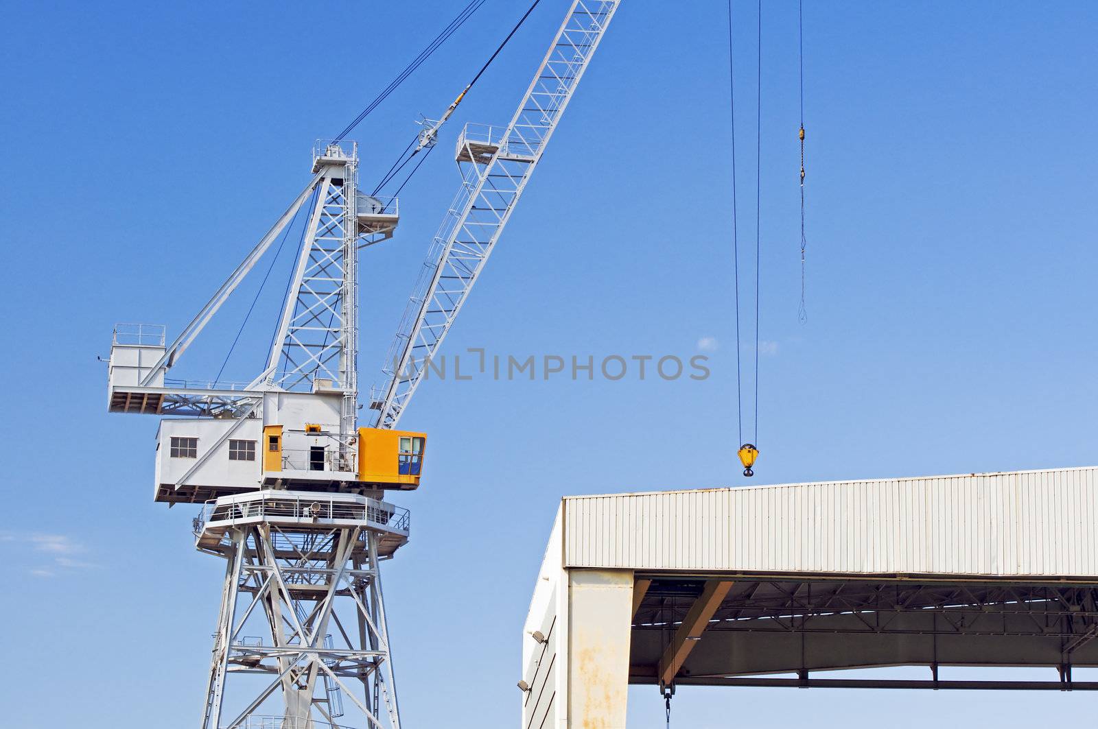 Detail of a crane under a blue sky in a shipyard
