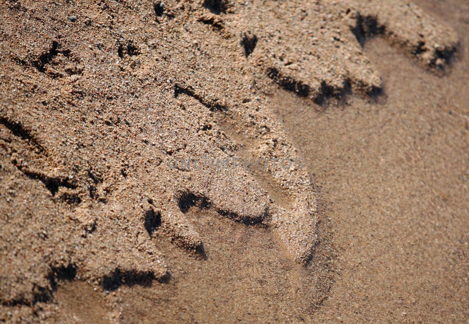 Waves of sand - formed of wind and water