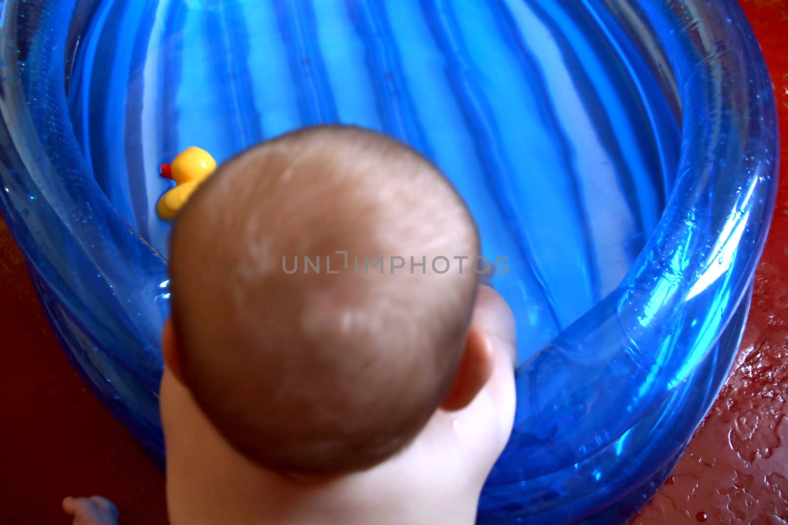 a baby with a blue pool and a yellow duck, playing at home.