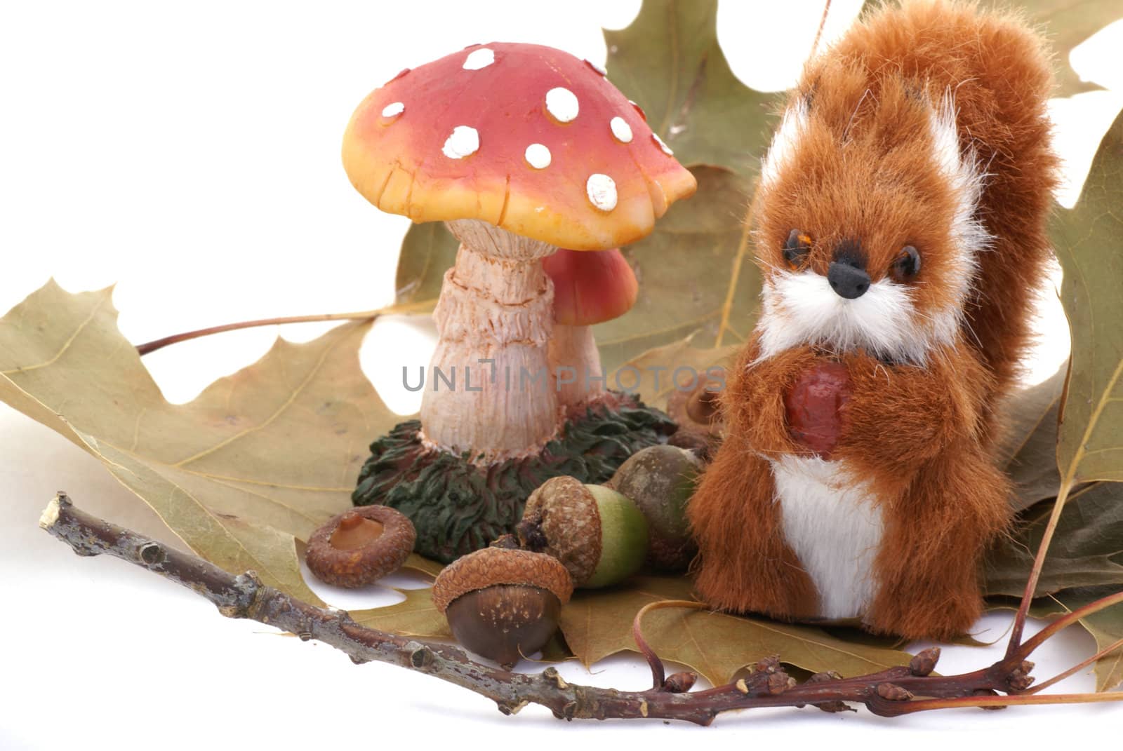 Toadstool, squirrel, acorn and some leaves, isolated on white background.