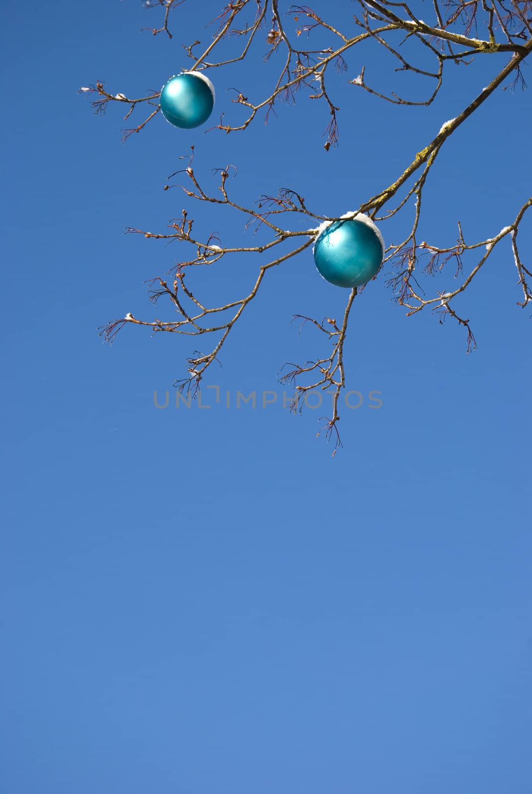 New year toy hanging on a tree without leaves branches on background of blue sky.