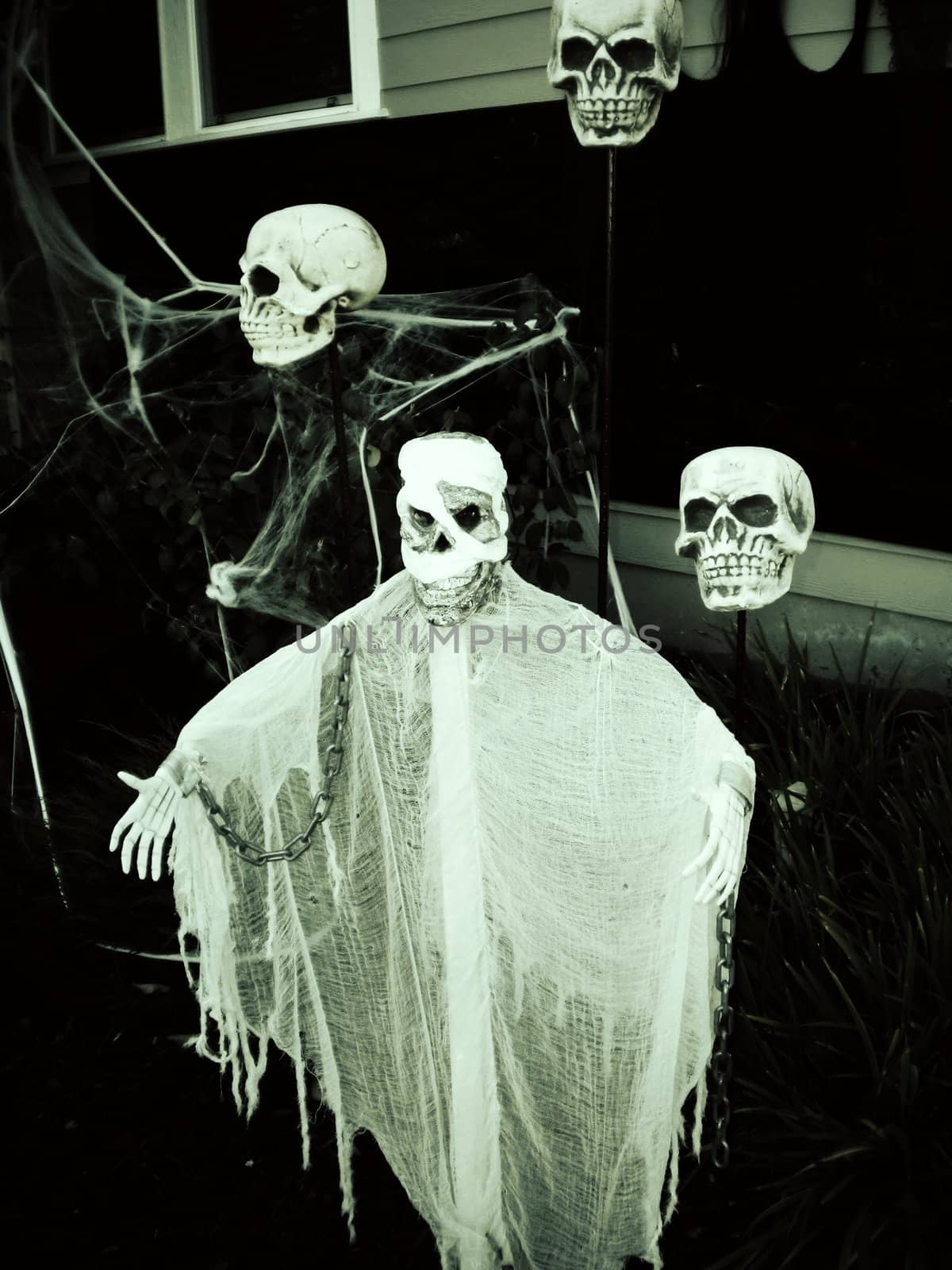 Spooky skulls by chaosmediamgt
