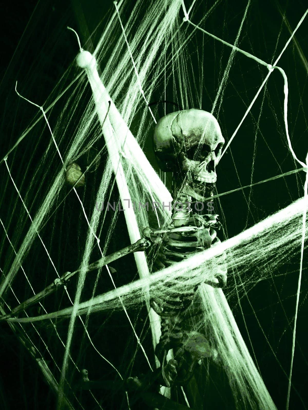 Skeleton stuck in a Web on Halloween