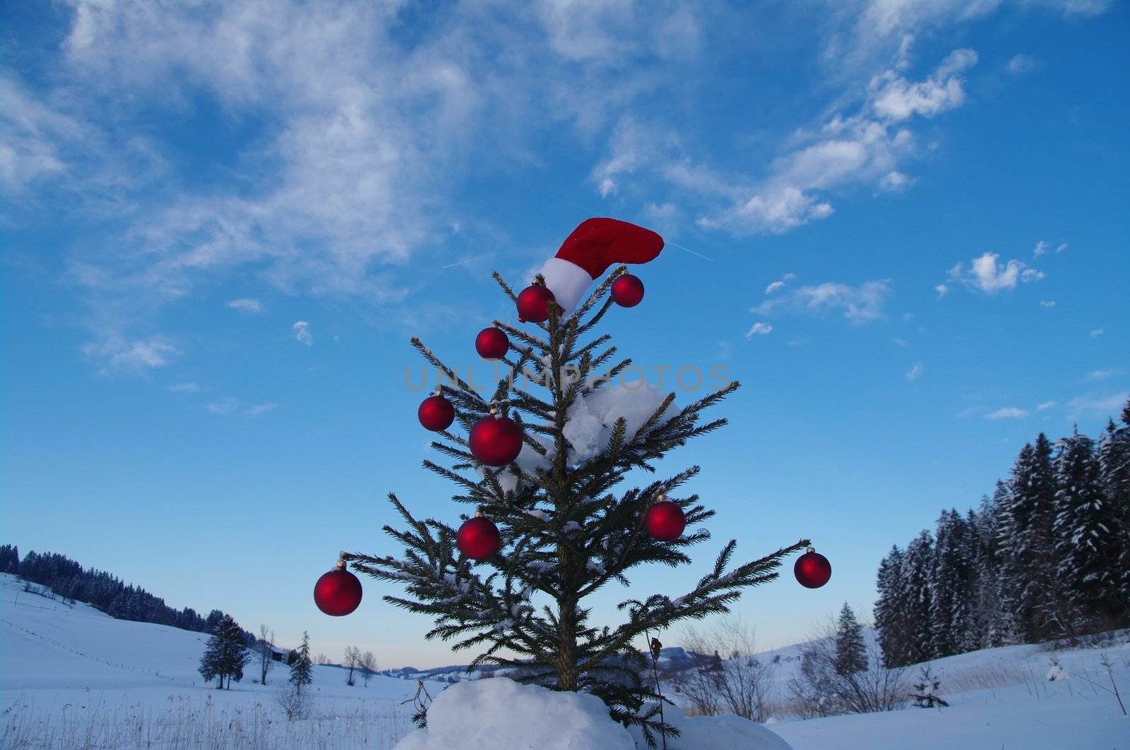 baubles  on a Christmas tree outside in a snowy landscape