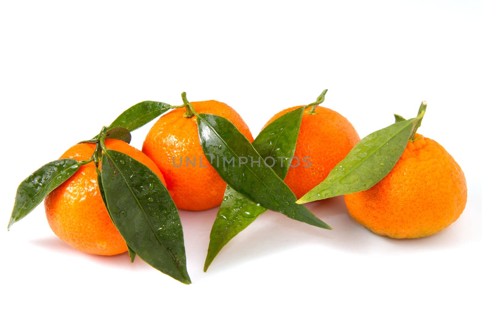 mandarin isolated on a white