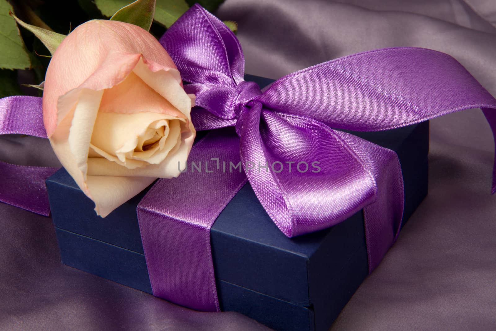 Rose and Gift box