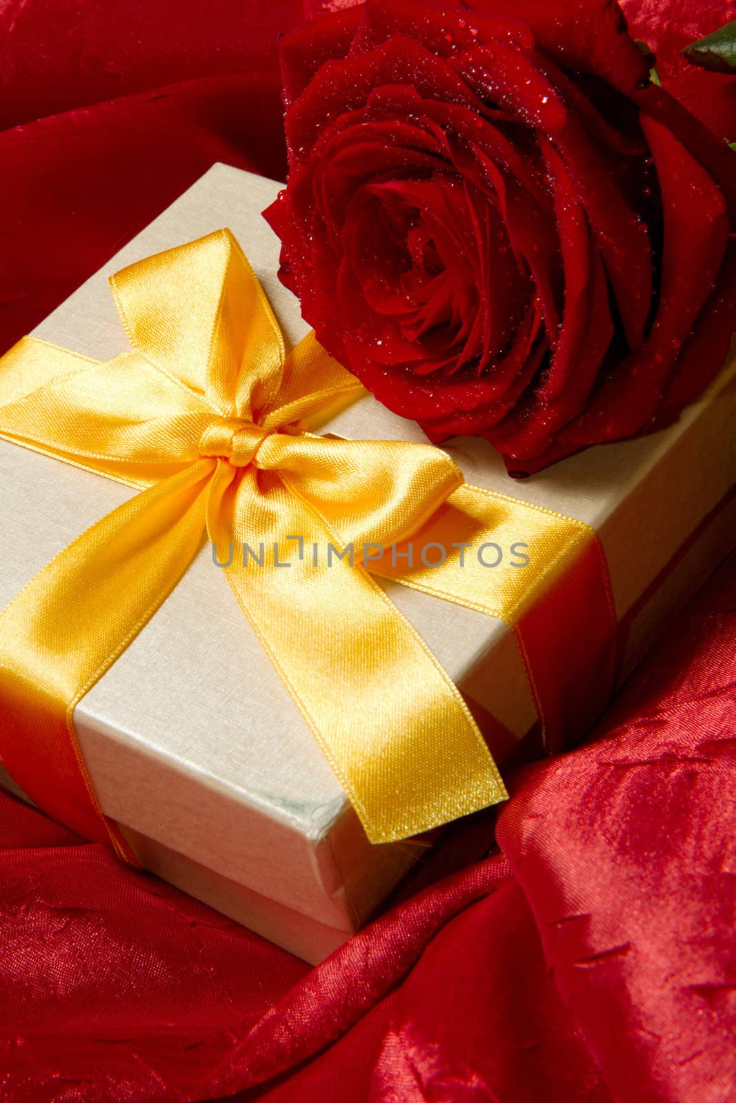 Rose and Gift box