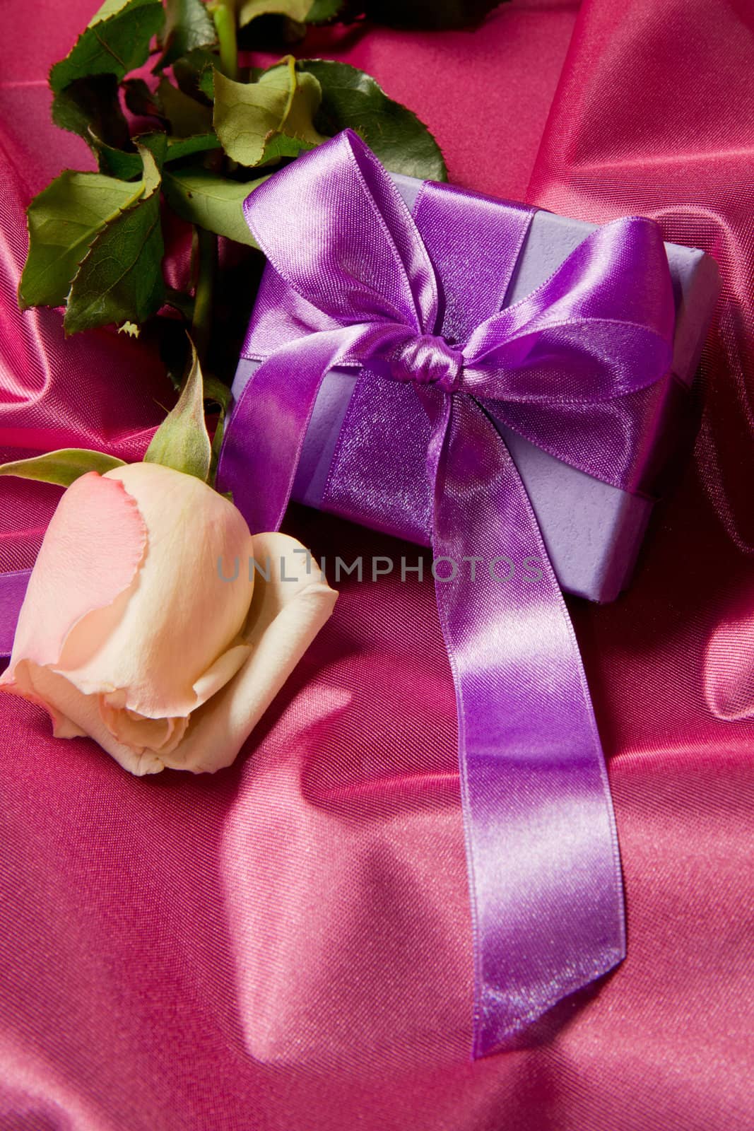 Rose and Gift box