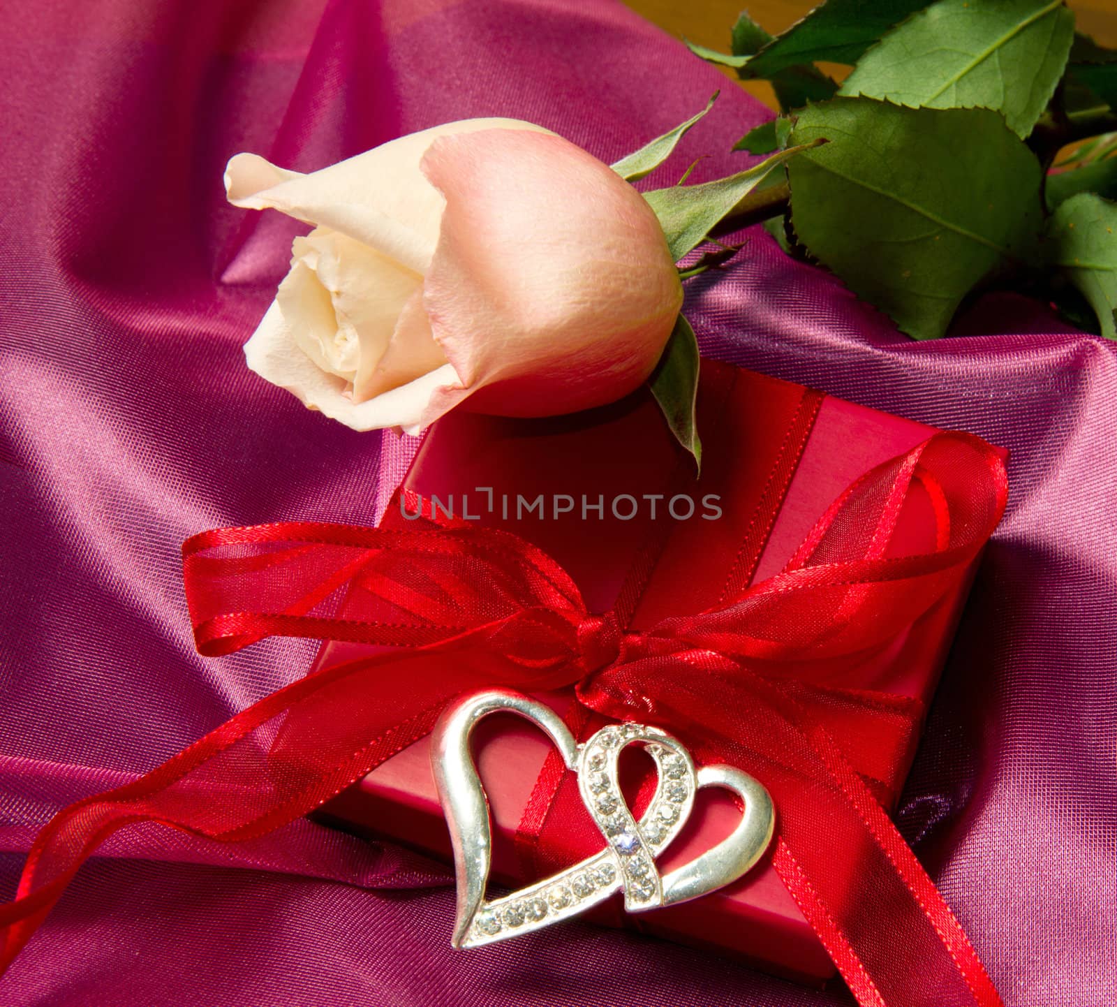 Rose and Gift box