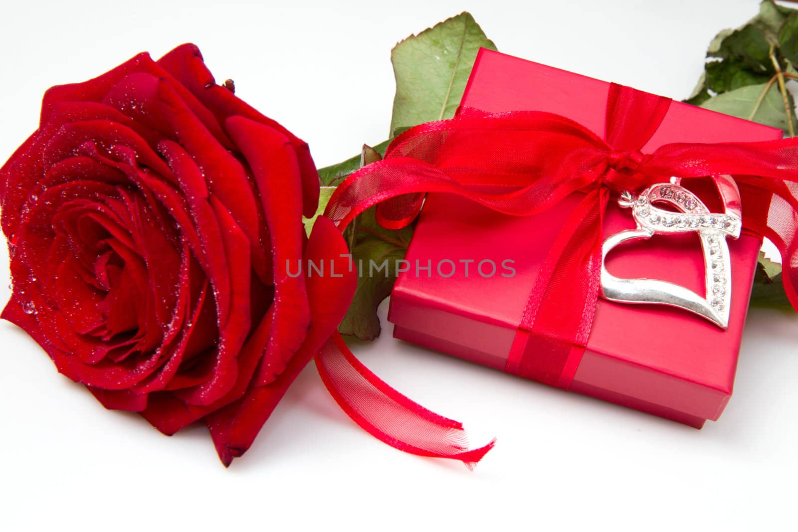 Roses and Gift box.Wedding present