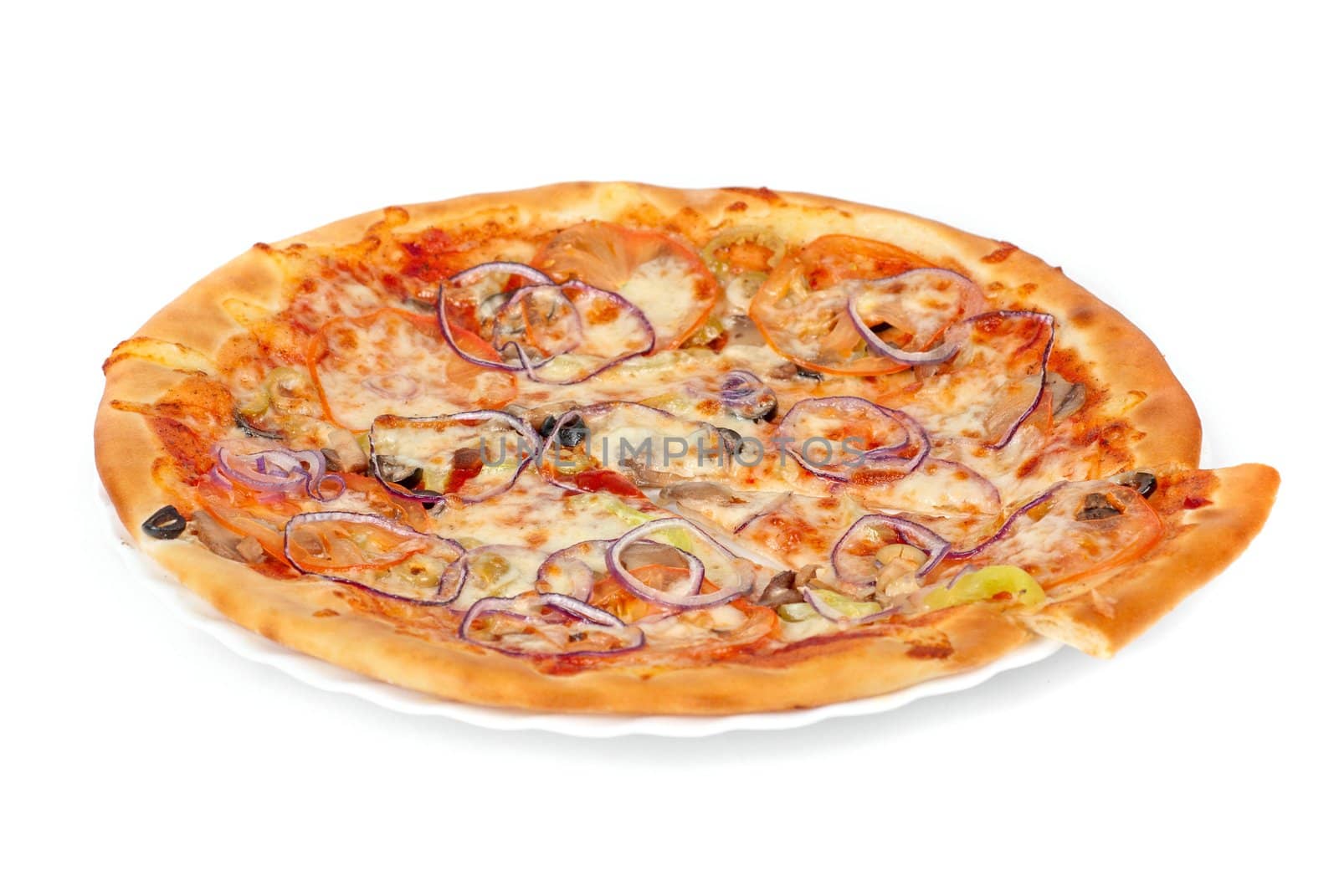 vegetable pizza closeup with tomato, Bulgarian pepper, onion, olive, champignons and mozzarella cheese