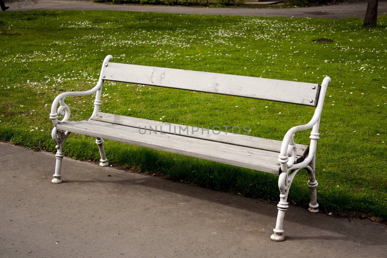 bench in the park. wooden shabby. on legs