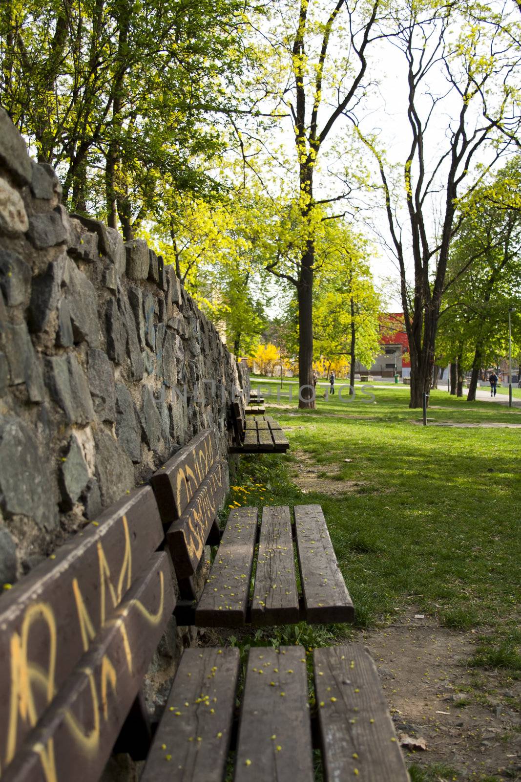 bench in the park. wooden shabby. on legs