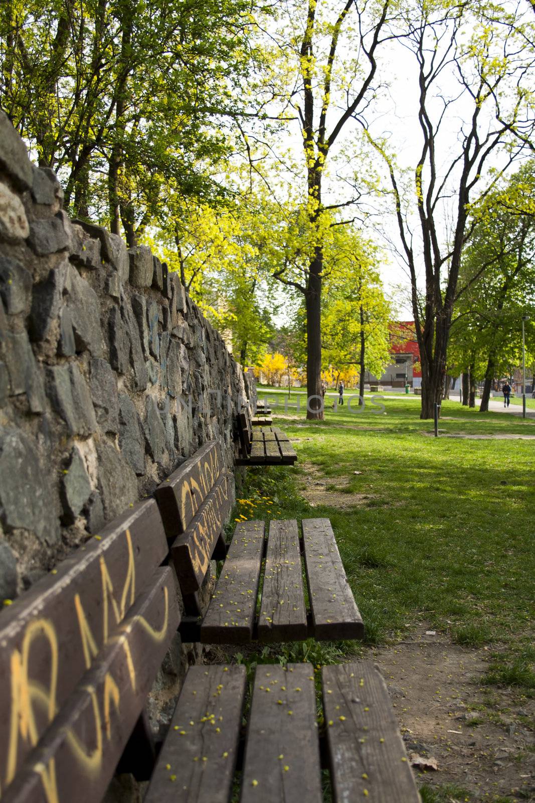 bench in the park. wooden shabby. on legs