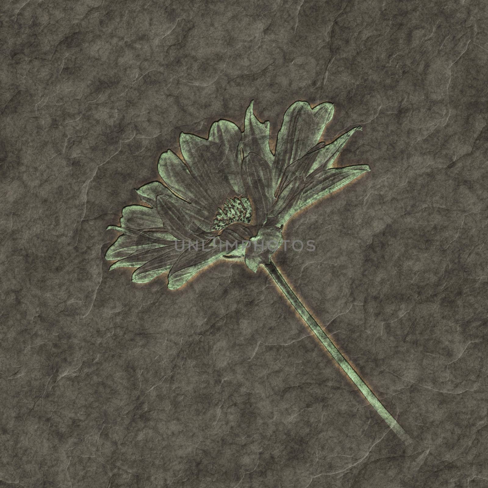 An image of a nice petrified flower