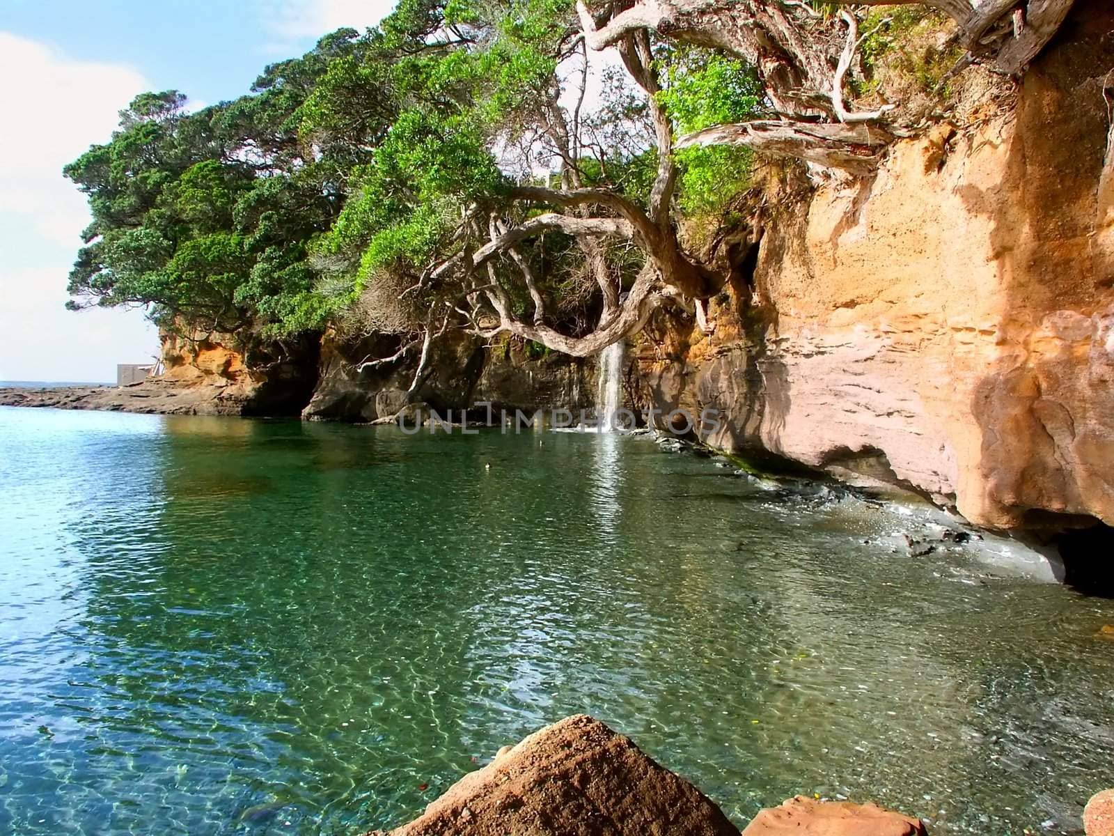 Waterfall flows into the ocean at Goat Island Marine Reserve on the North Island of New Zealand.