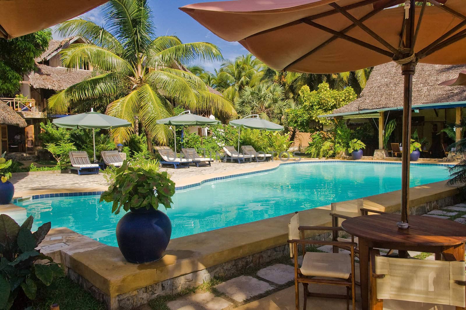 Swimming pool in tropical resort