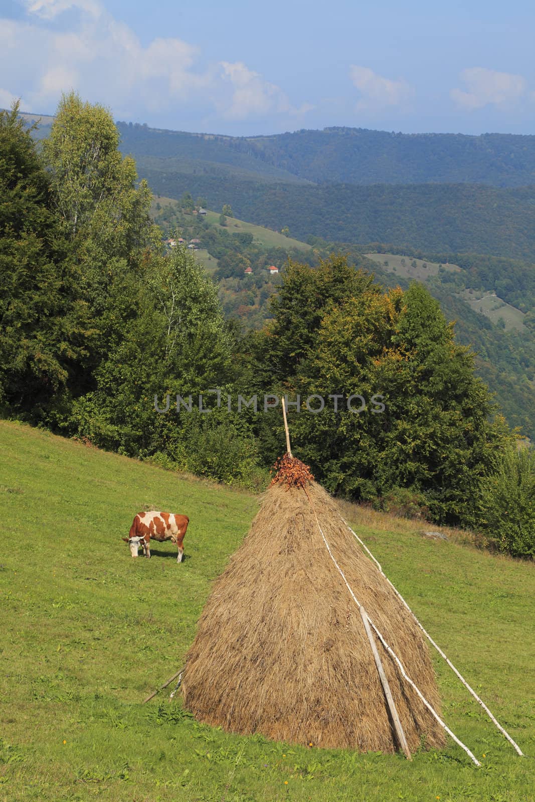 Landscape in an isolated mountainous rural area in Apuseni Mountains, in Transylvania,Romania. The place is known as Motilor country.