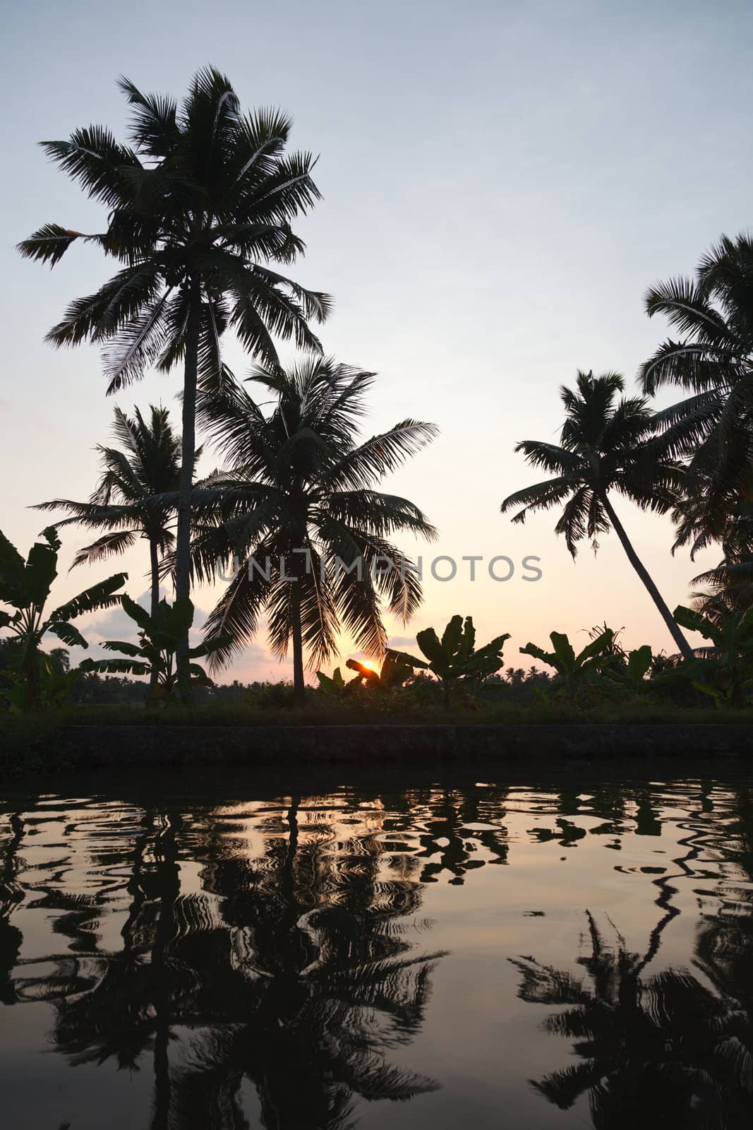 Sunset on Kerala backwaters by dimol