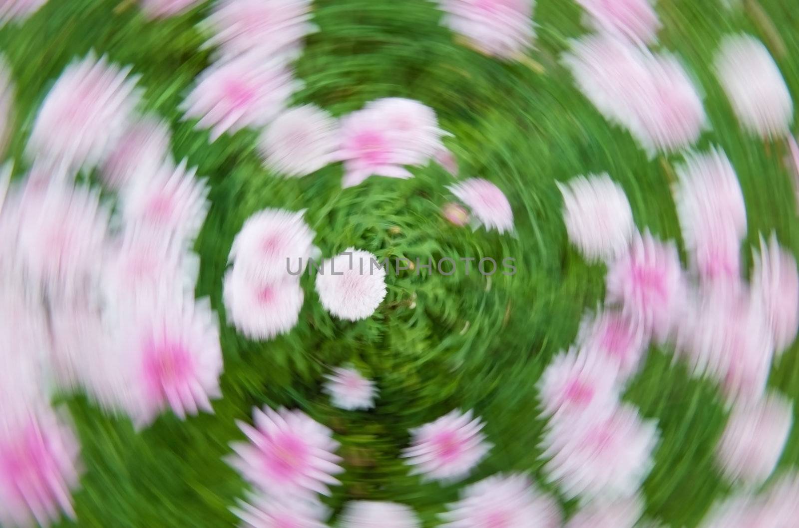 Artistic camera effect creating a vortex from a flower bed 