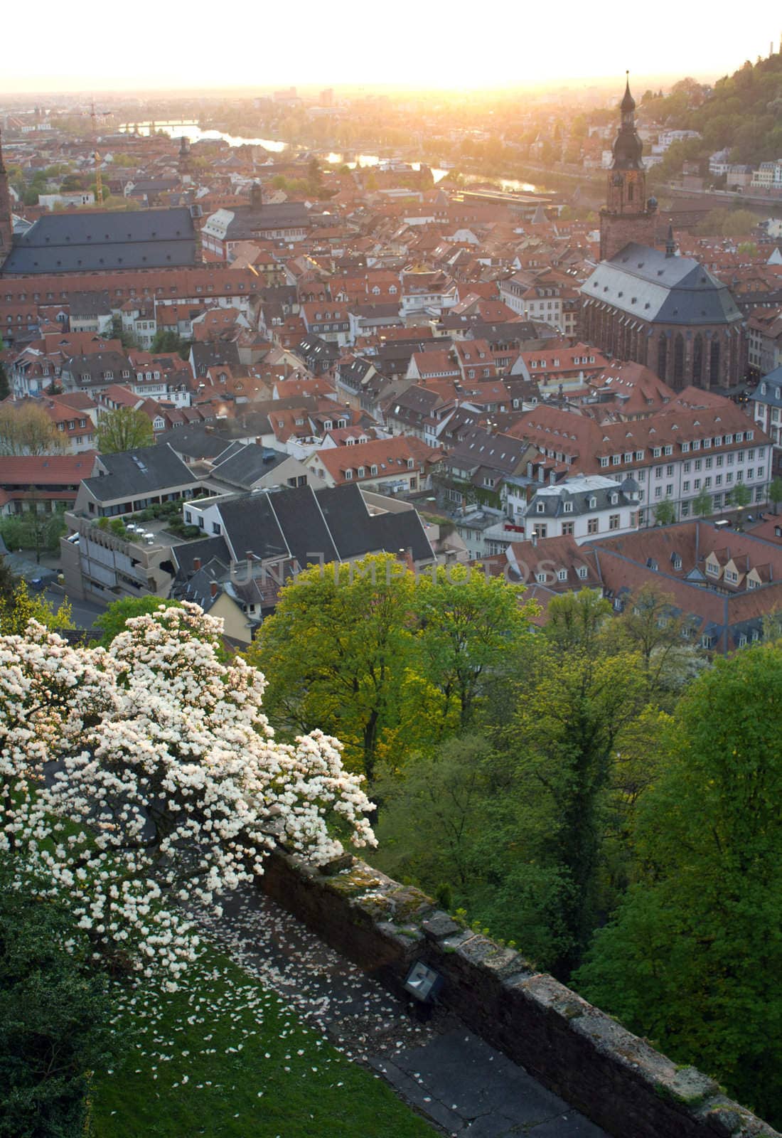 The view over the Medieval City of Heidelberg from it's historic Castle.