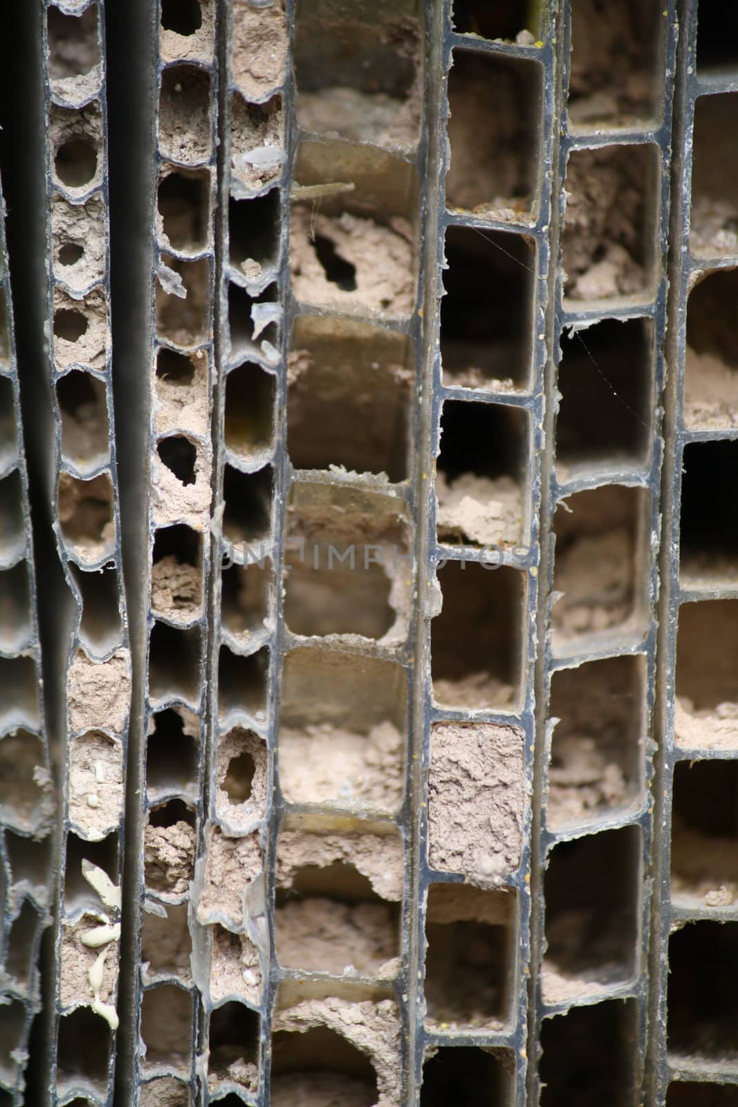 The layers of a hive.