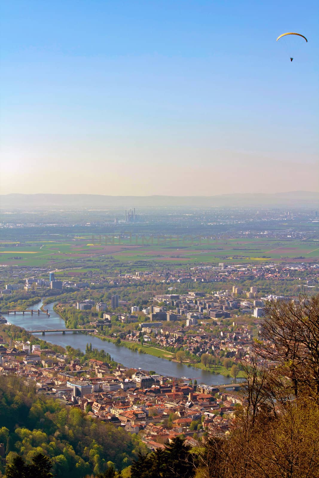 The View of The Medieval City of Heidelberg from the King's Throne