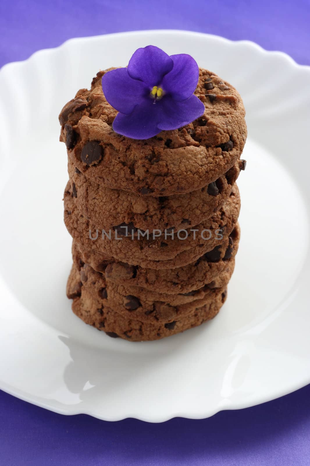 chocolate cookies with violet by nataliamylova