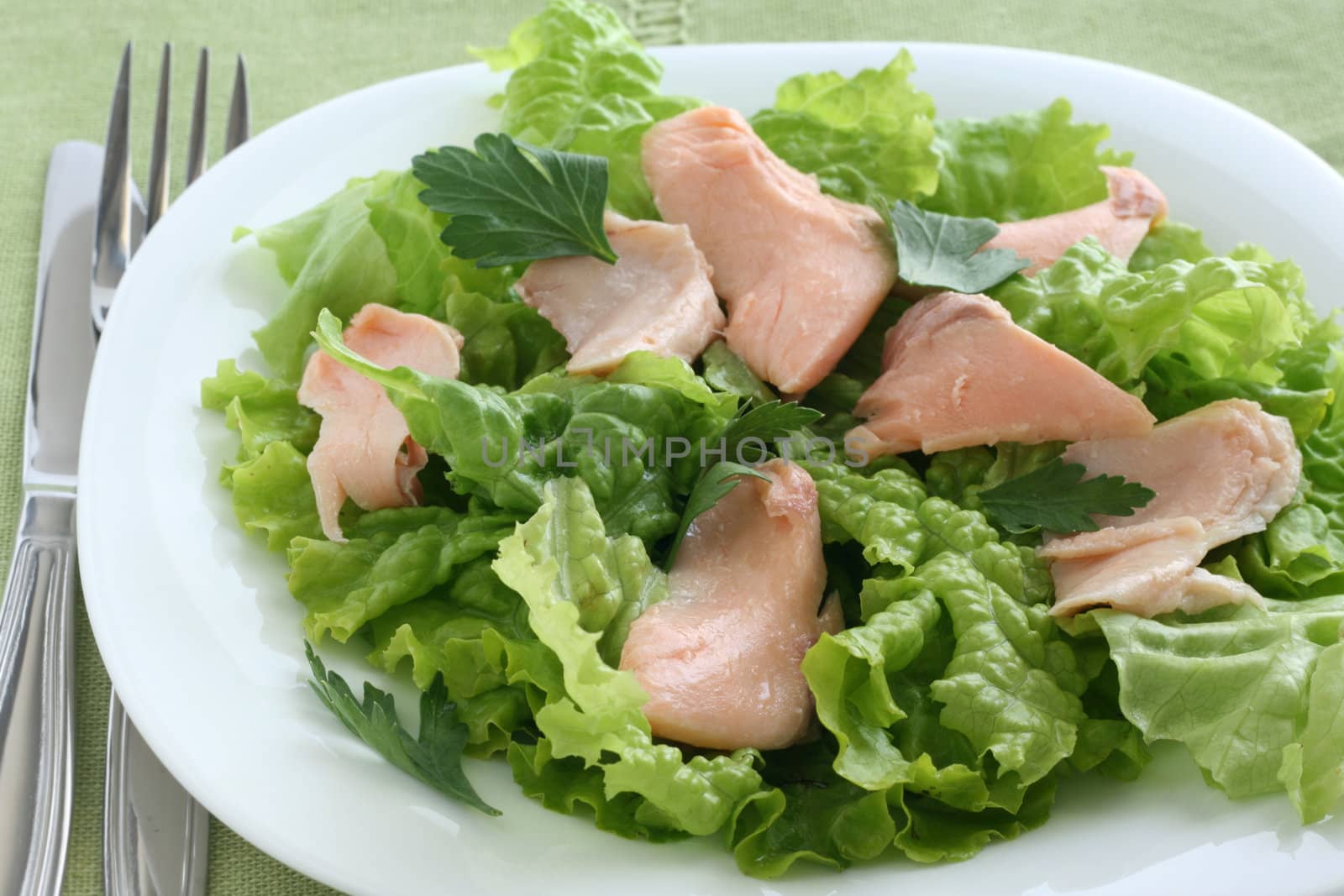 salmon salad by nataliamylova