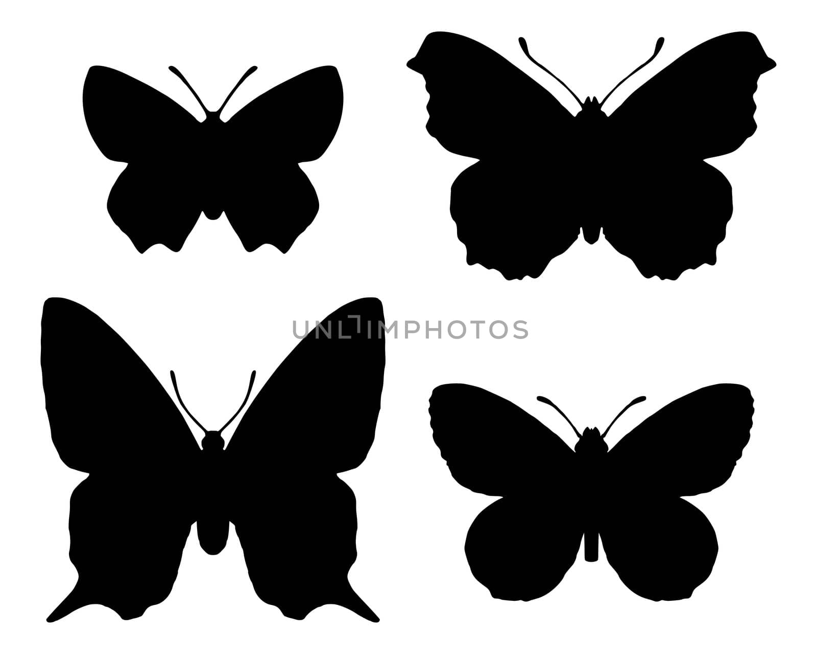 Butterfly silhouettes by rbiedermann