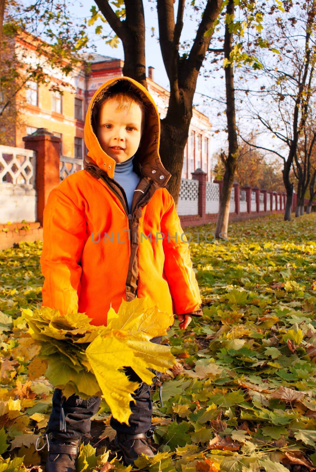 Boy playing with leaves at fall time by AndreyKr