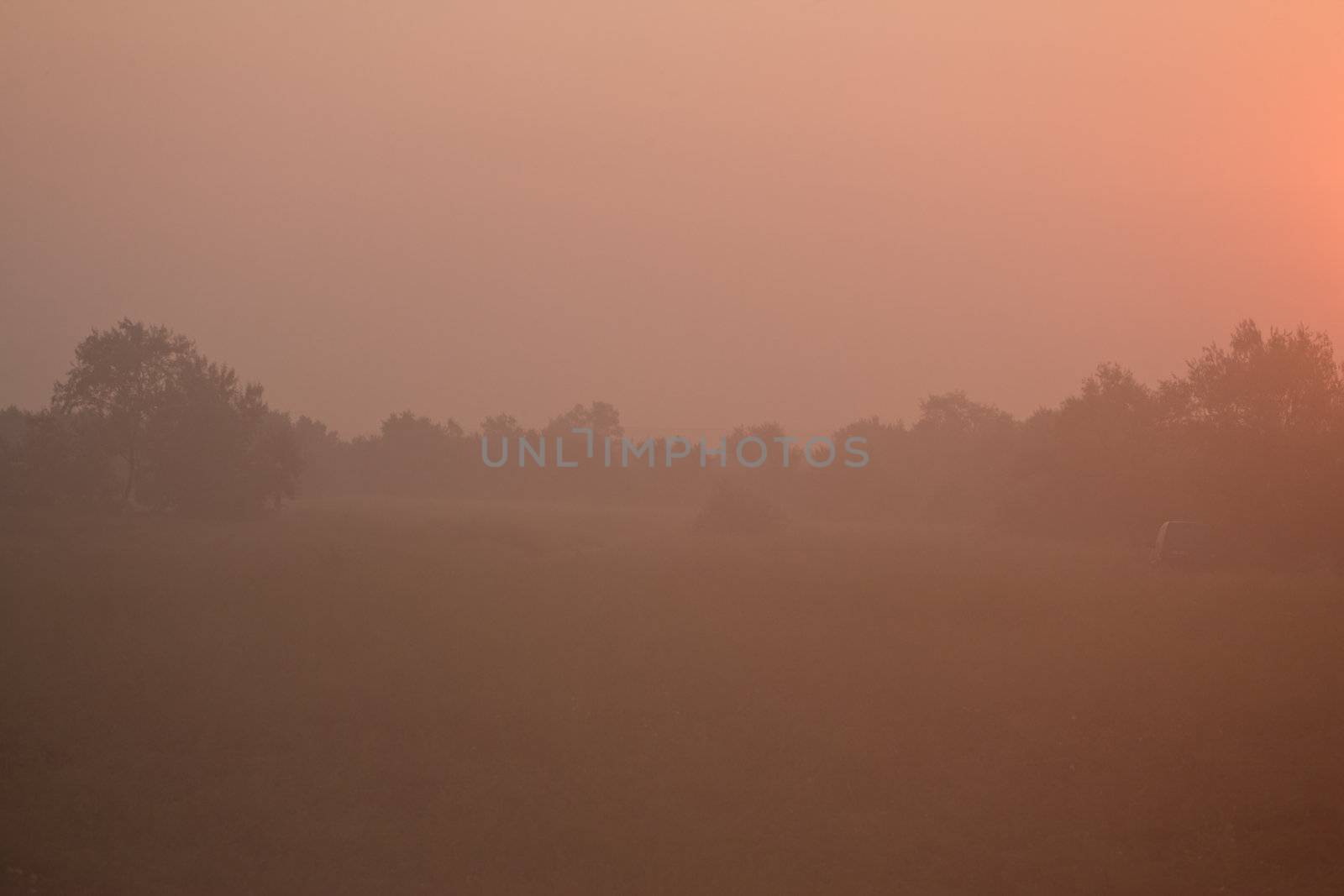 view series: foggy morning summer sunrise on meadow