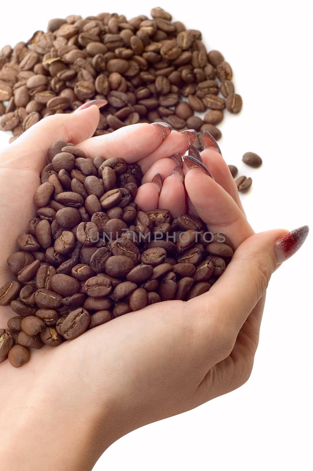 Female hands and coffee beans on white