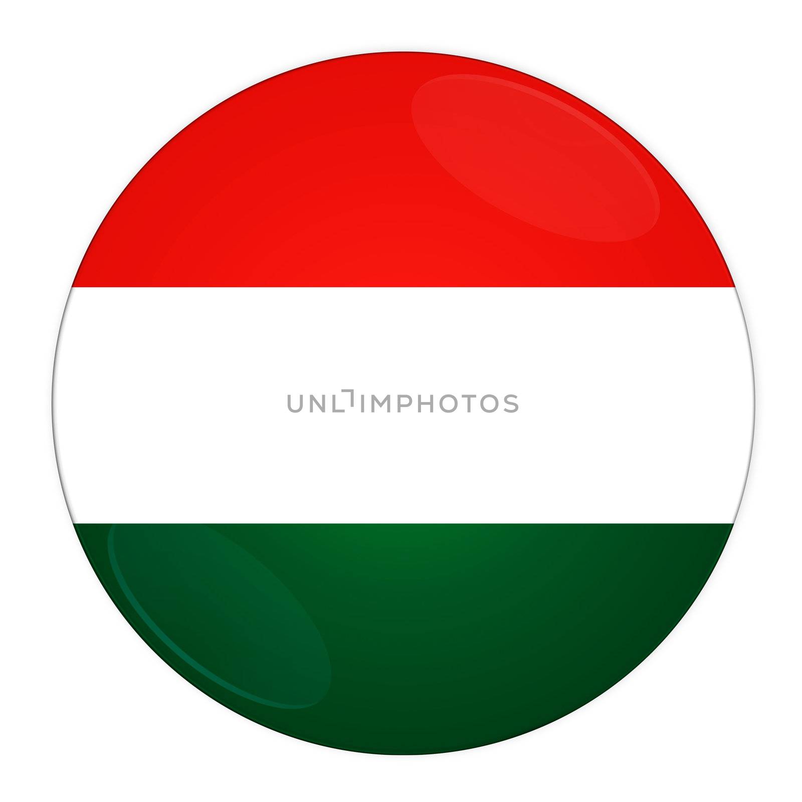 Hungary button with flag by rusak