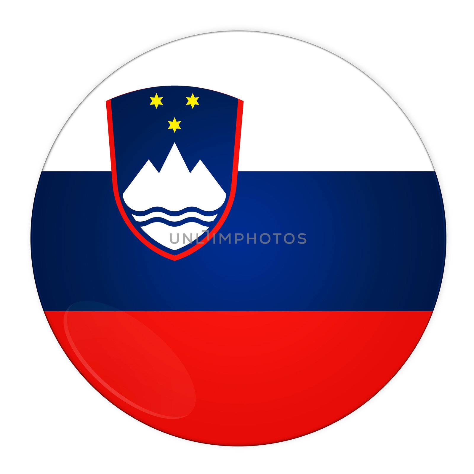 Slovenia button with flag by rusak