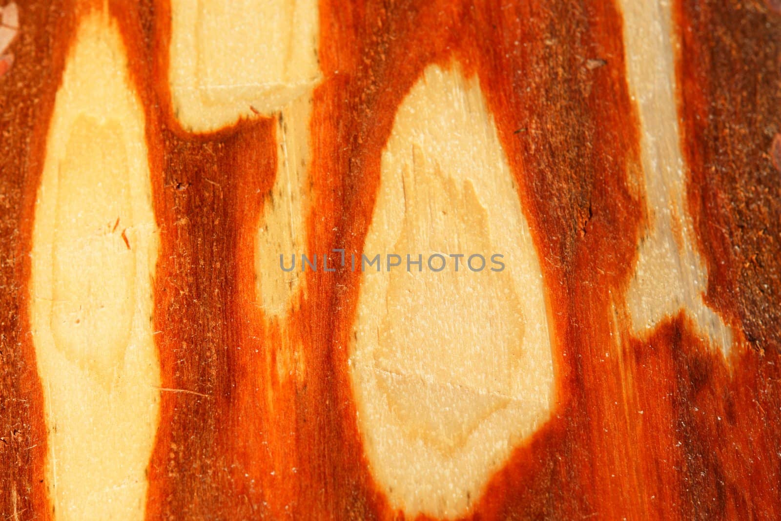 Detail close up of  a wood surface