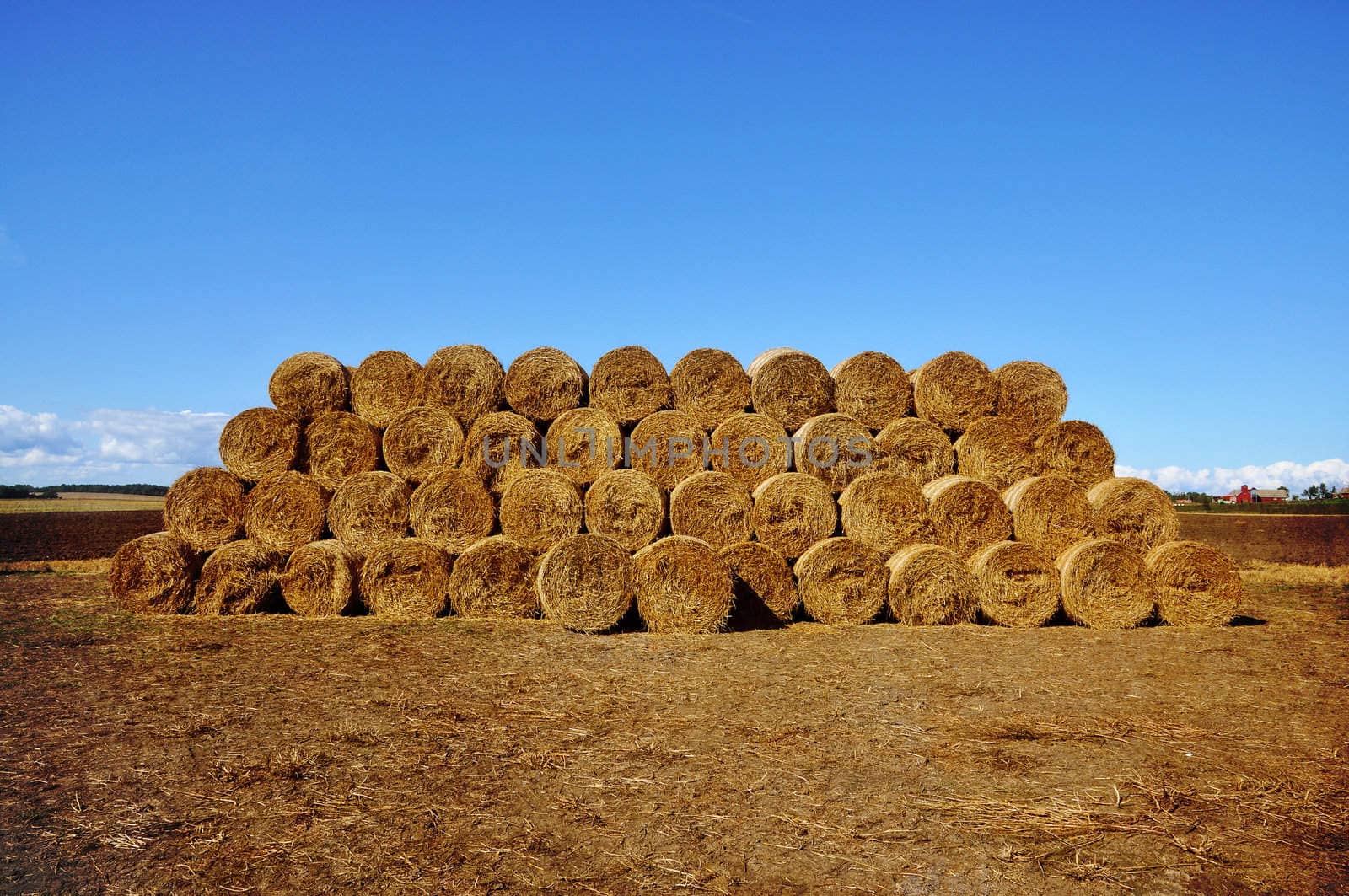 Bales of hay stacked on a field with a farmhouse in the background.