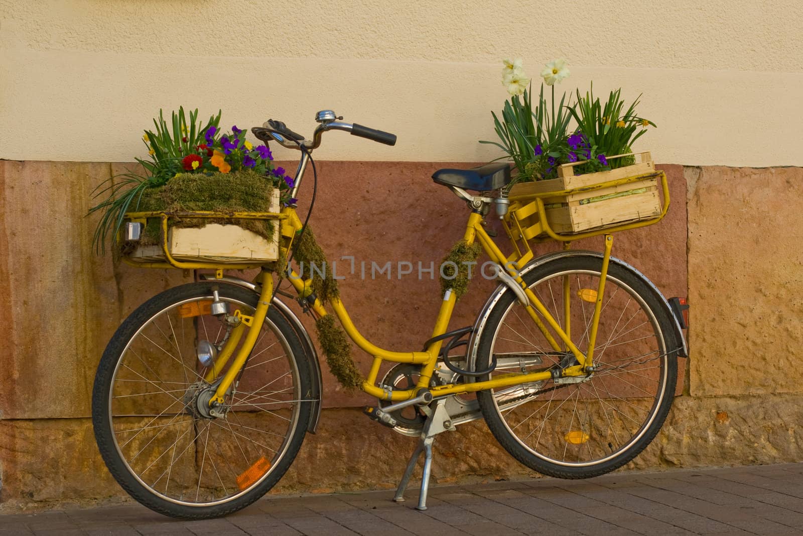 Flowers on a yellow bicycle on a house wall