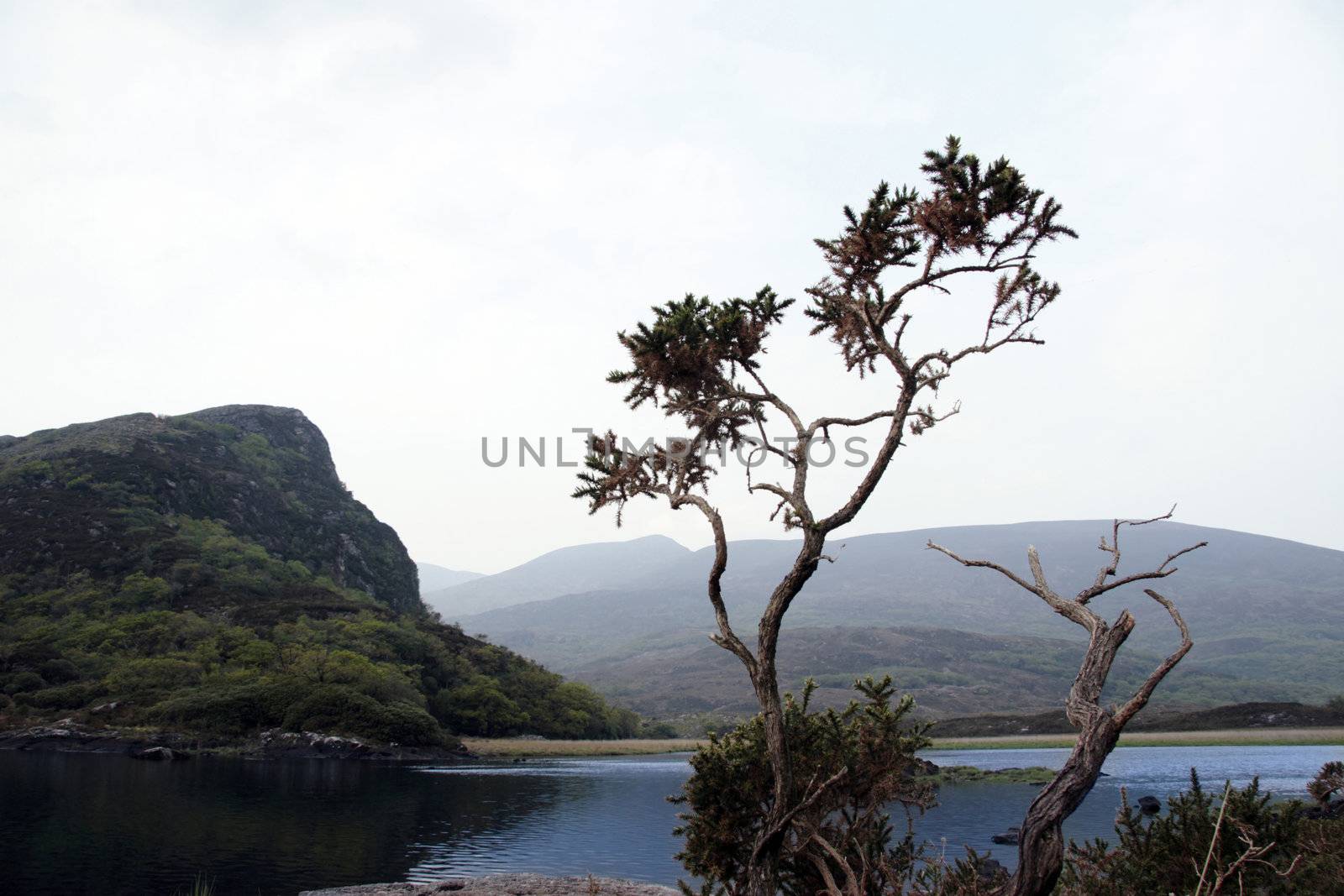 scenic view of a killarney lake