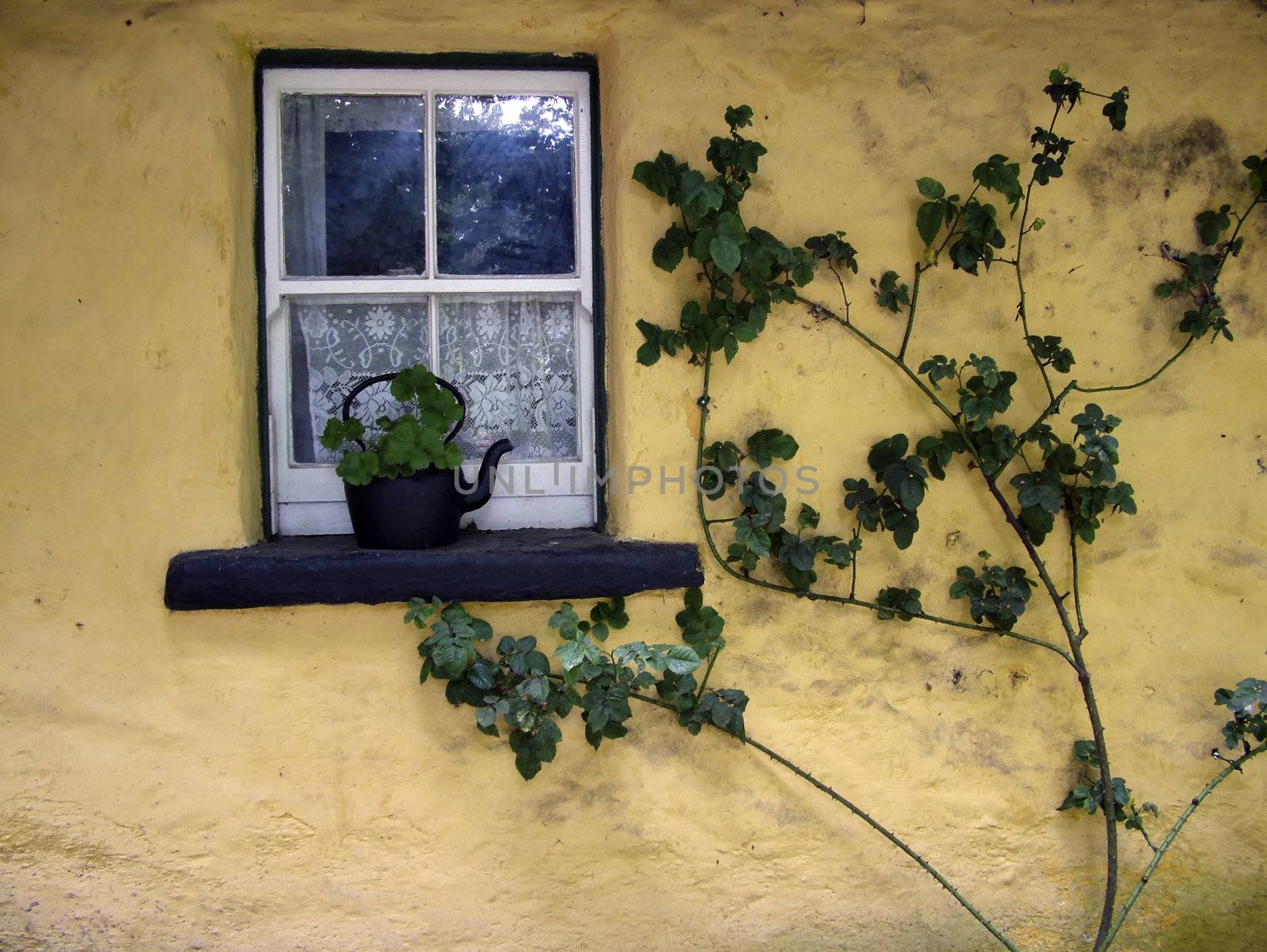 an old irish cottage window