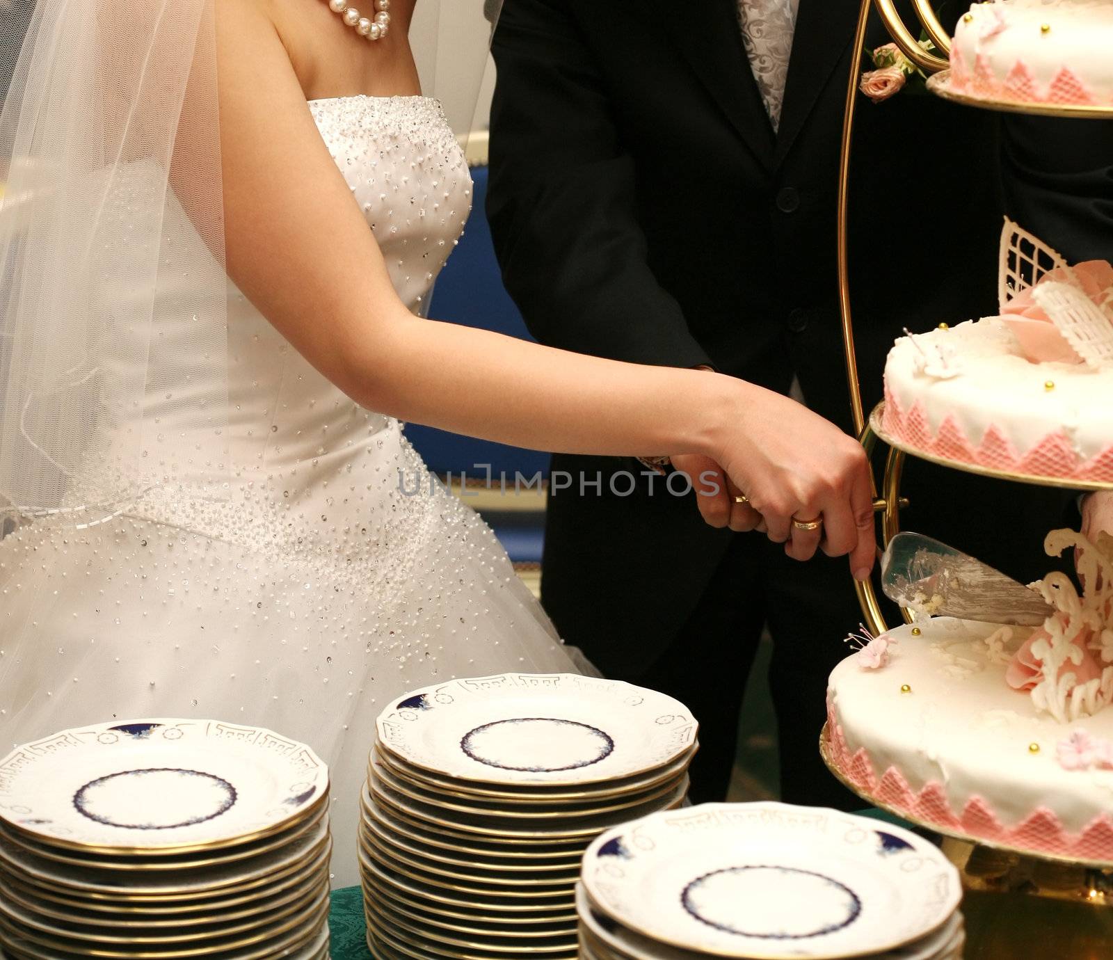 The groom and the bride cut a wedding pie